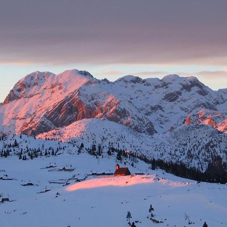 Velika Planina - Chalet Stane - Alps Stahovica 외부 사진