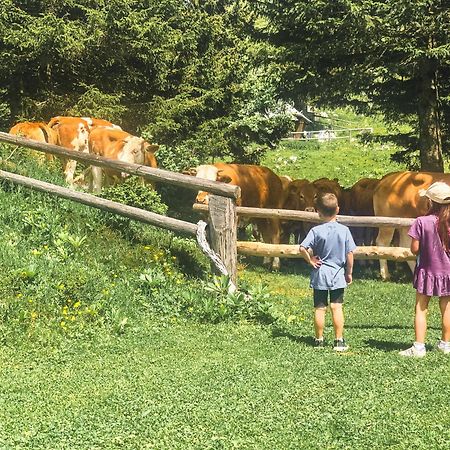 Velika Planina - Chalet Stane - Alps Stahovica 외부 사진