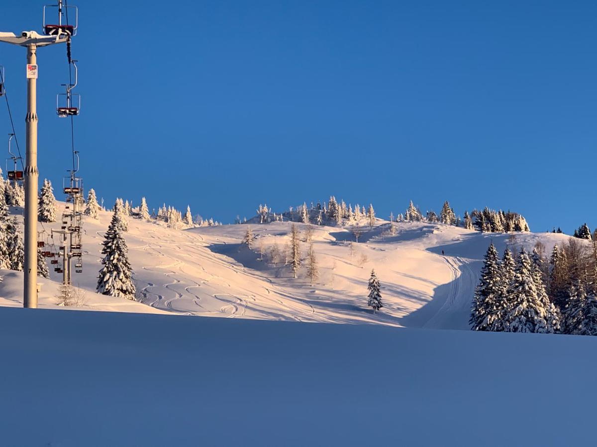 Velika Planina - Chalet Stane - Alps Stahovica 외부 사진