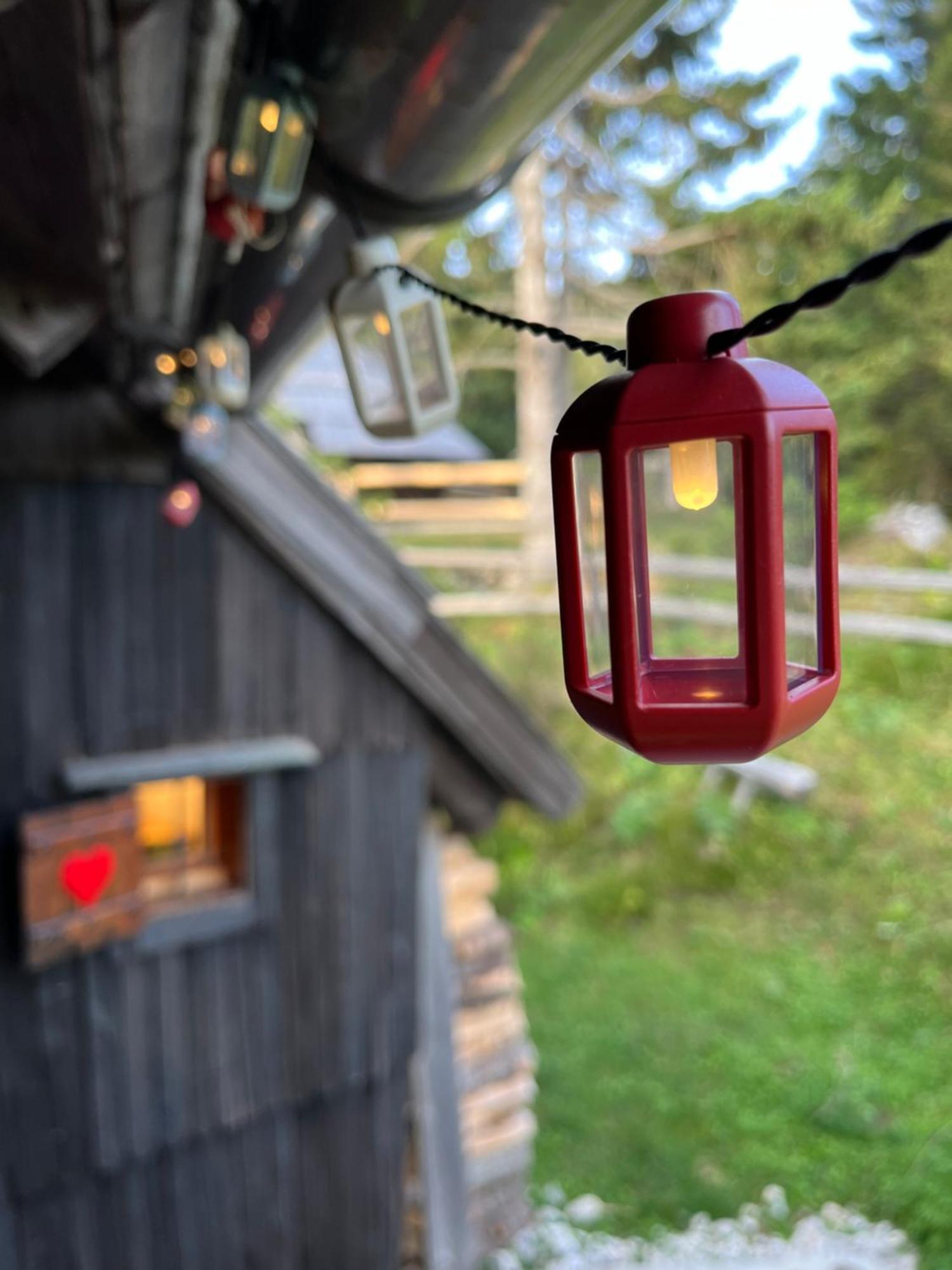 Velika Planina - Chalet Stane - Alps Stahovica 외부 사진