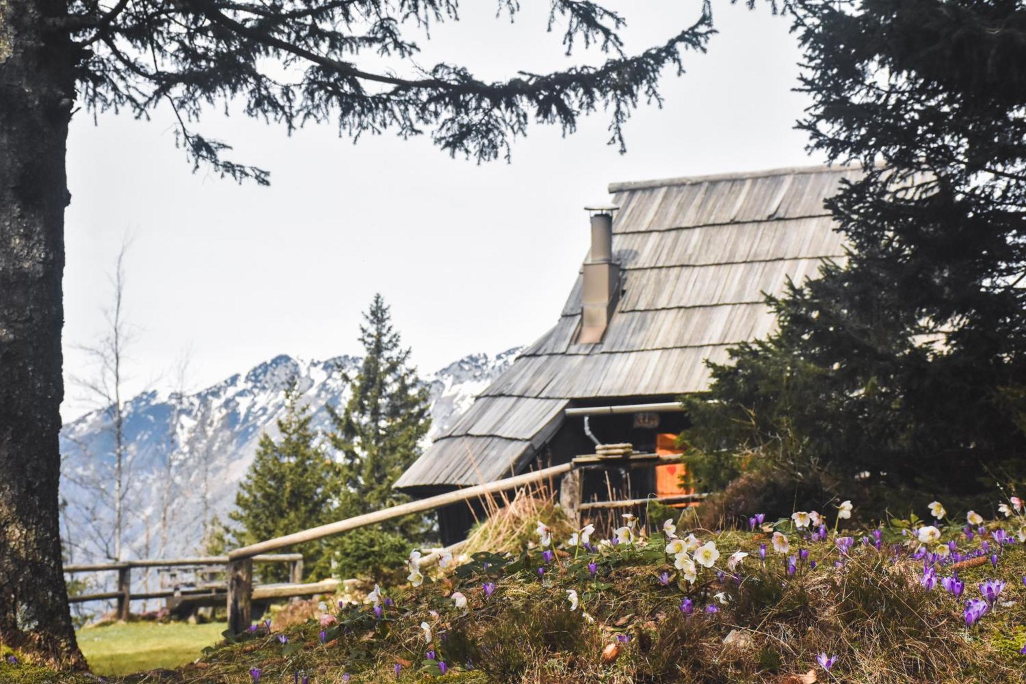 Velika Planina - Chalet Stane - Alps Stahovica 외부 사진