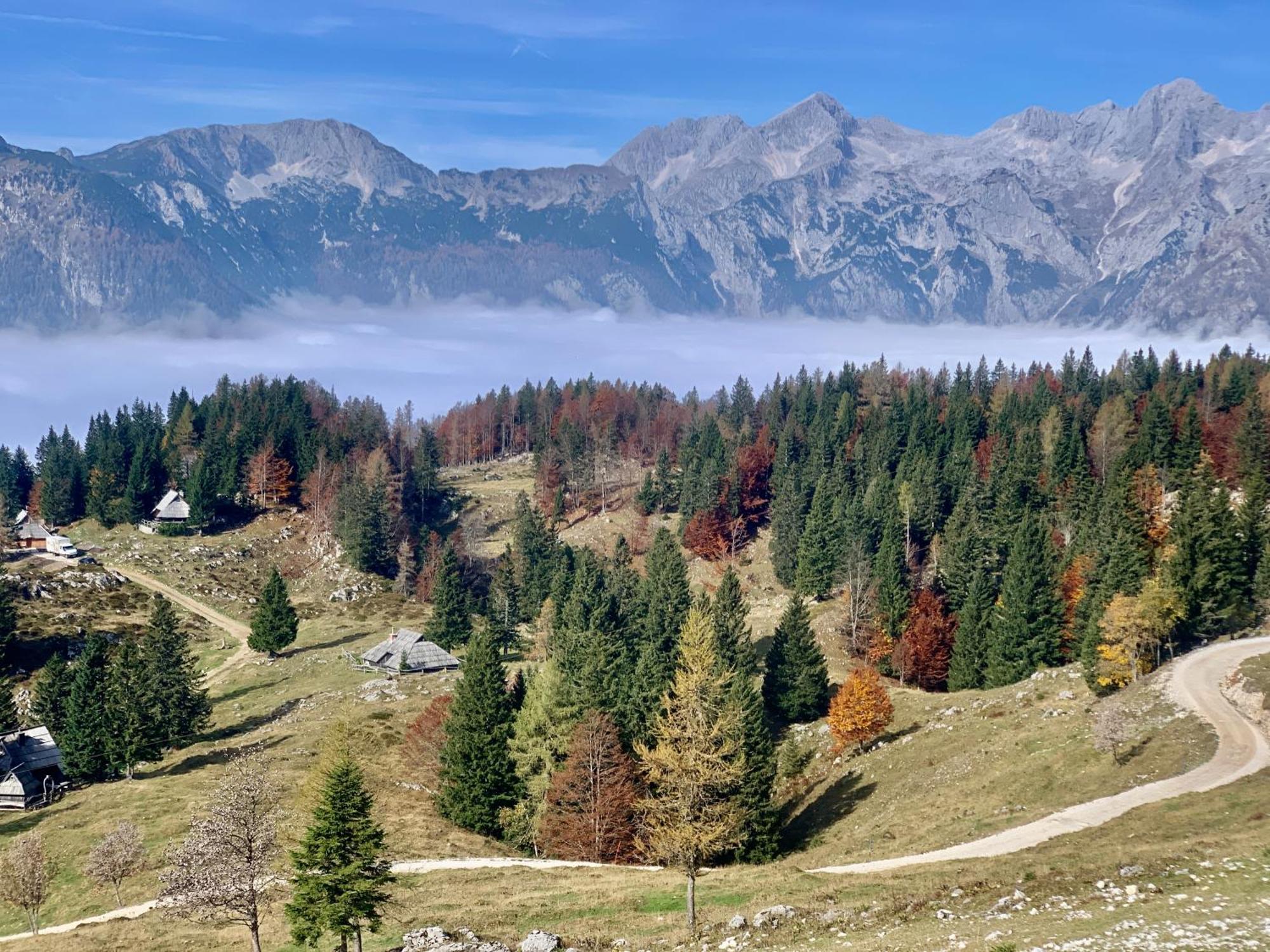 Velika Planina - Chalet Stane - Alps Stahovica 외부 사진