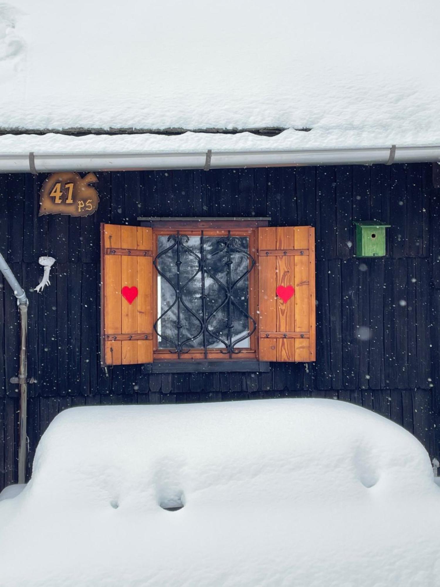 Velika Planina - Chalet Stane - Alps Stahovica 외부 사진