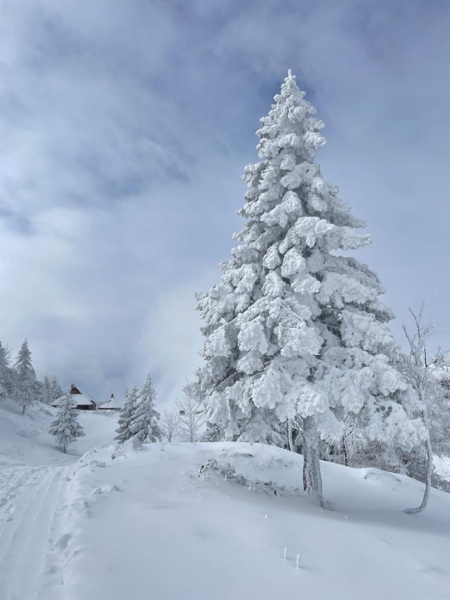 Velika Planina - Chalet Stane - Alps Stahovica 외부 사진