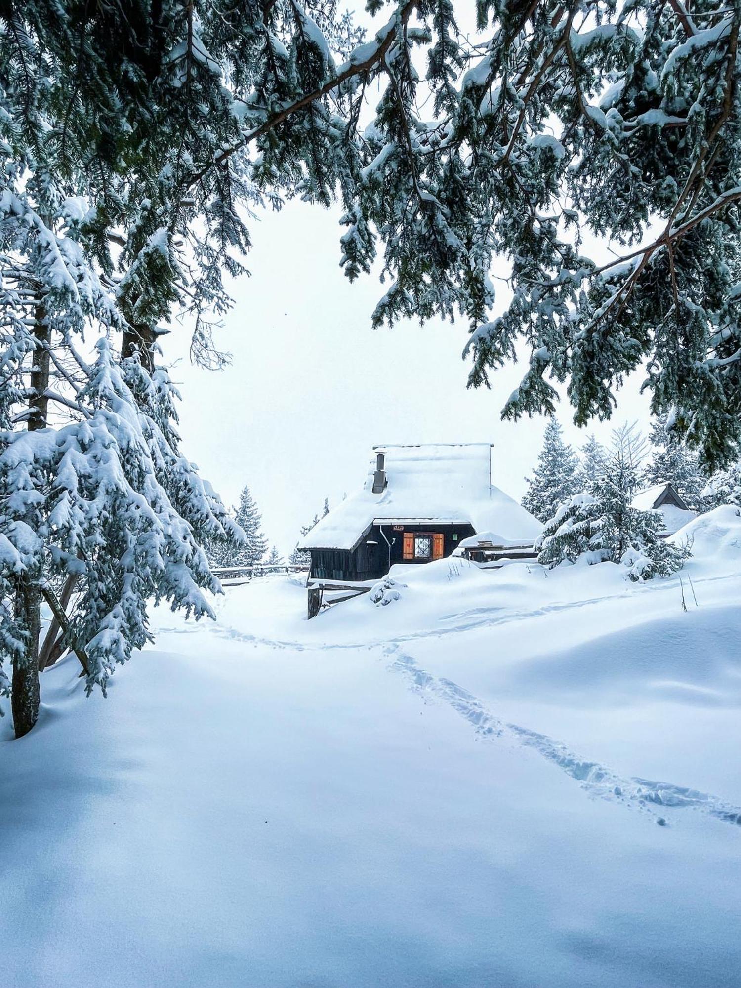 Velika Planina - Chalet Stane - Alps Stahovica 외부 사진